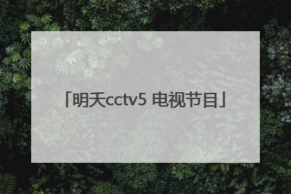 明夭cctv5 电视节目