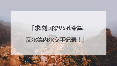 求:刘国梁VS孔令辉、瓦尔德内尔交手记录！