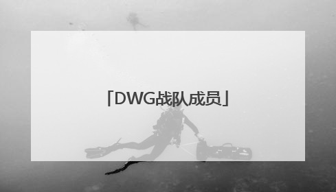 「DWG战队成员」lckdwg战队成员