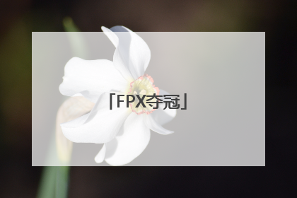 「FPX夺冠」fpx夺冠是几号种子