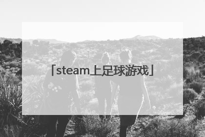 「steam上足球游戏」steam足球游戏排行榜前十名